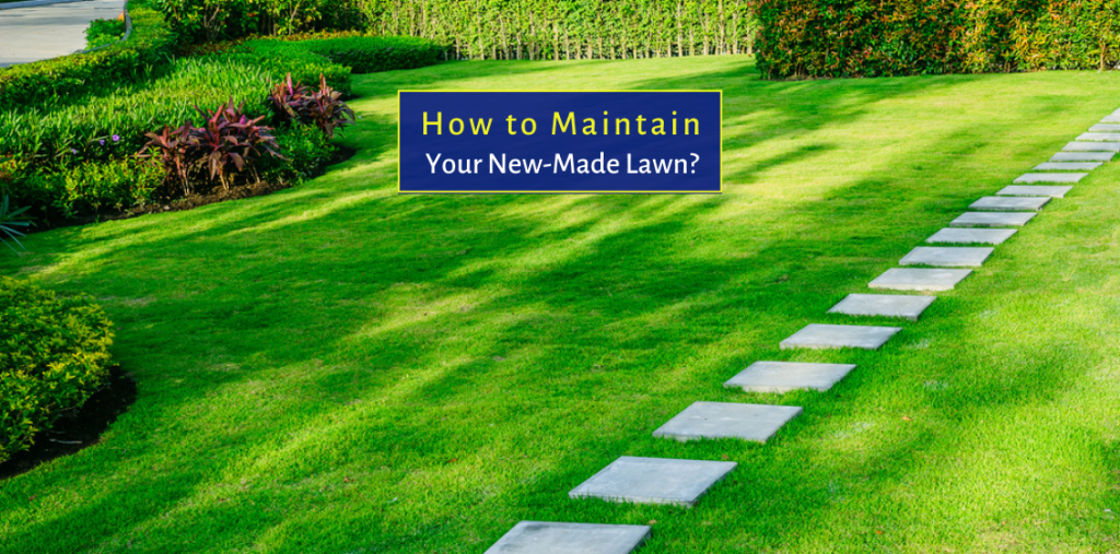 How to Maintain Your New-Made Lawn?