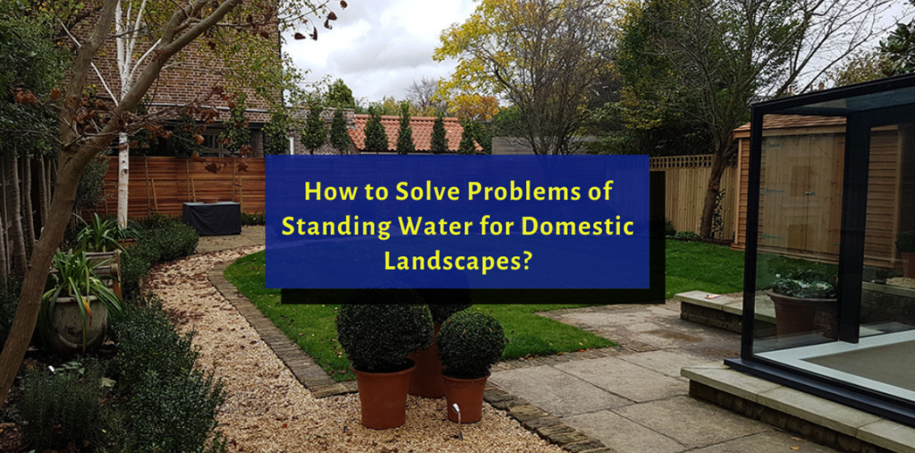 How to Solve Problems of Standing Water for Domestic Landscapes?