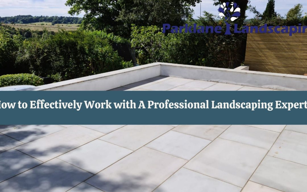 How to Effectively Work with A Professional Landscaping Expert?